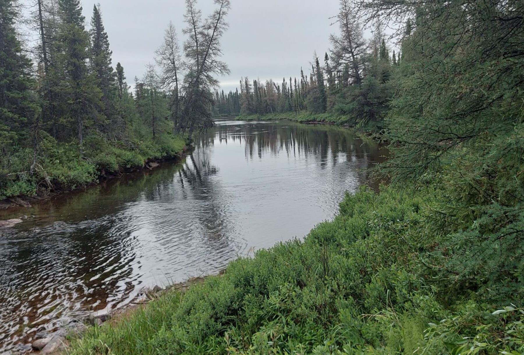 Trans Labrador Higway (28)