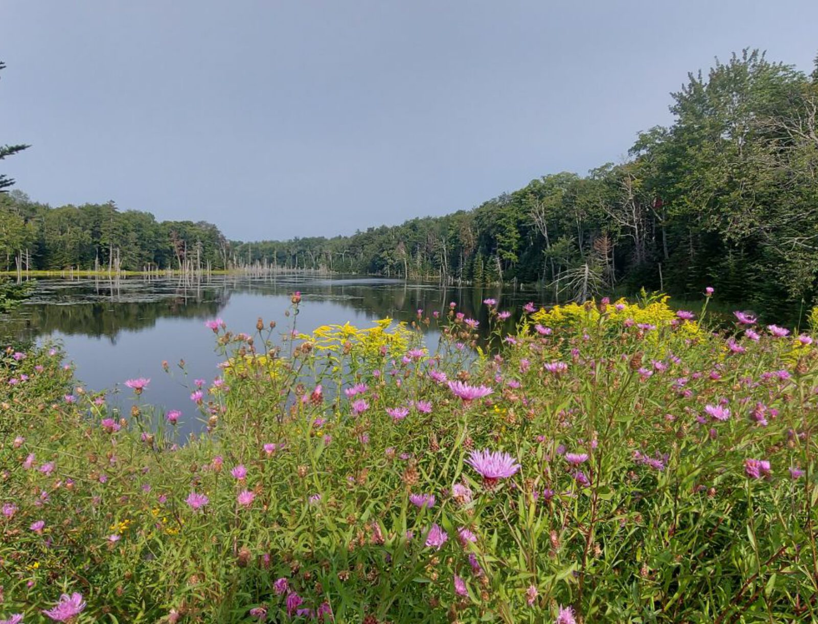 Adirondack Mountains (30)