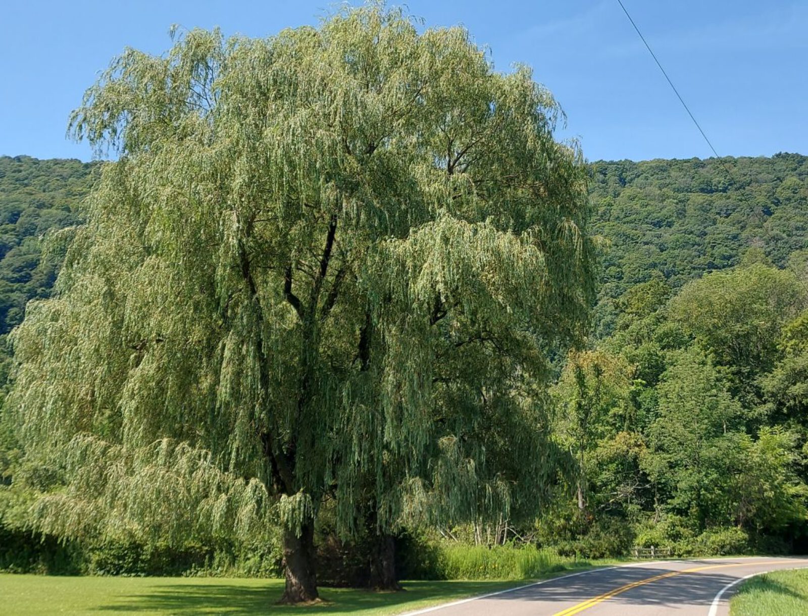 Adirondack Mountains (7)