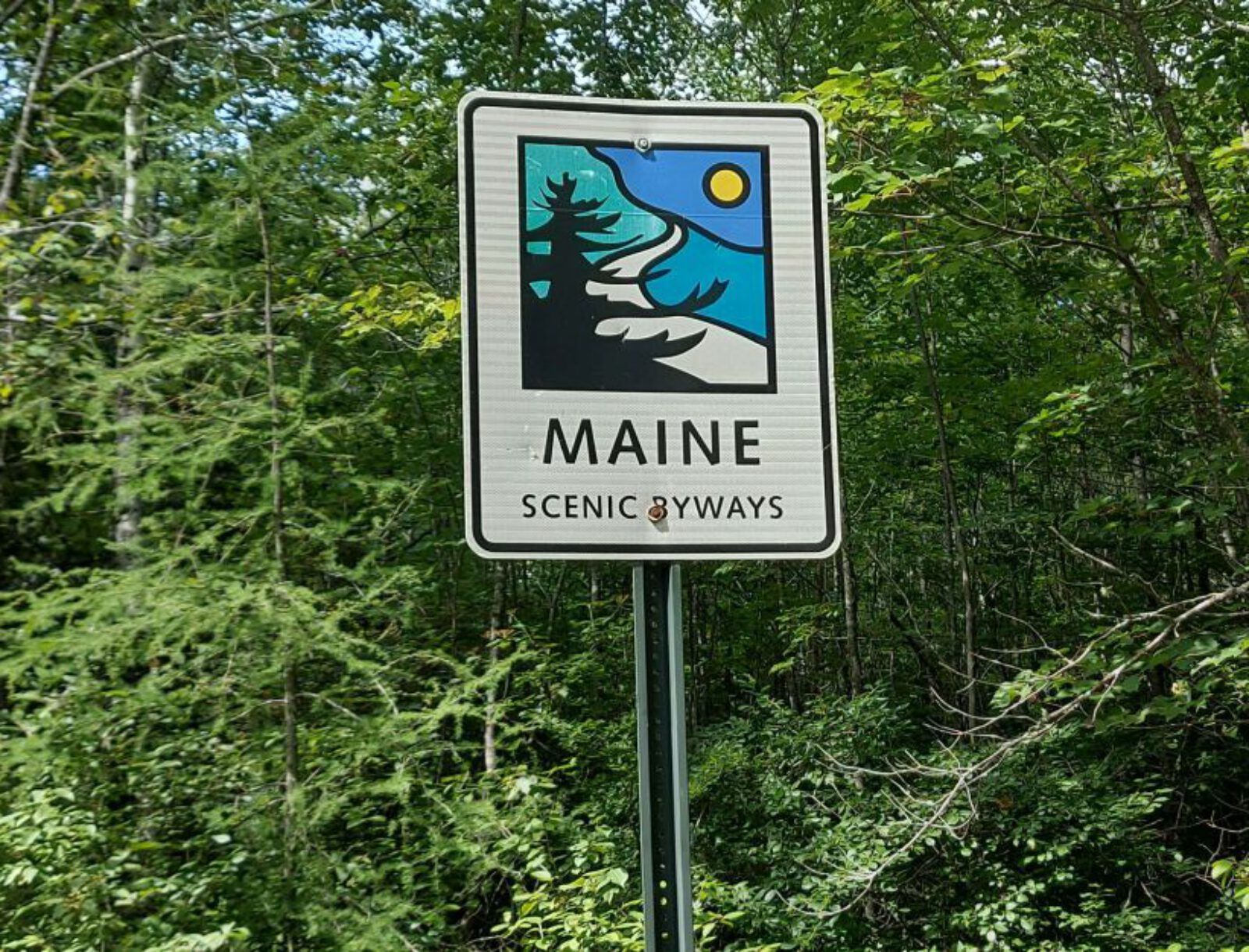 Maine (10)