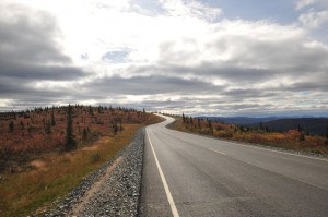HZ1_0782          