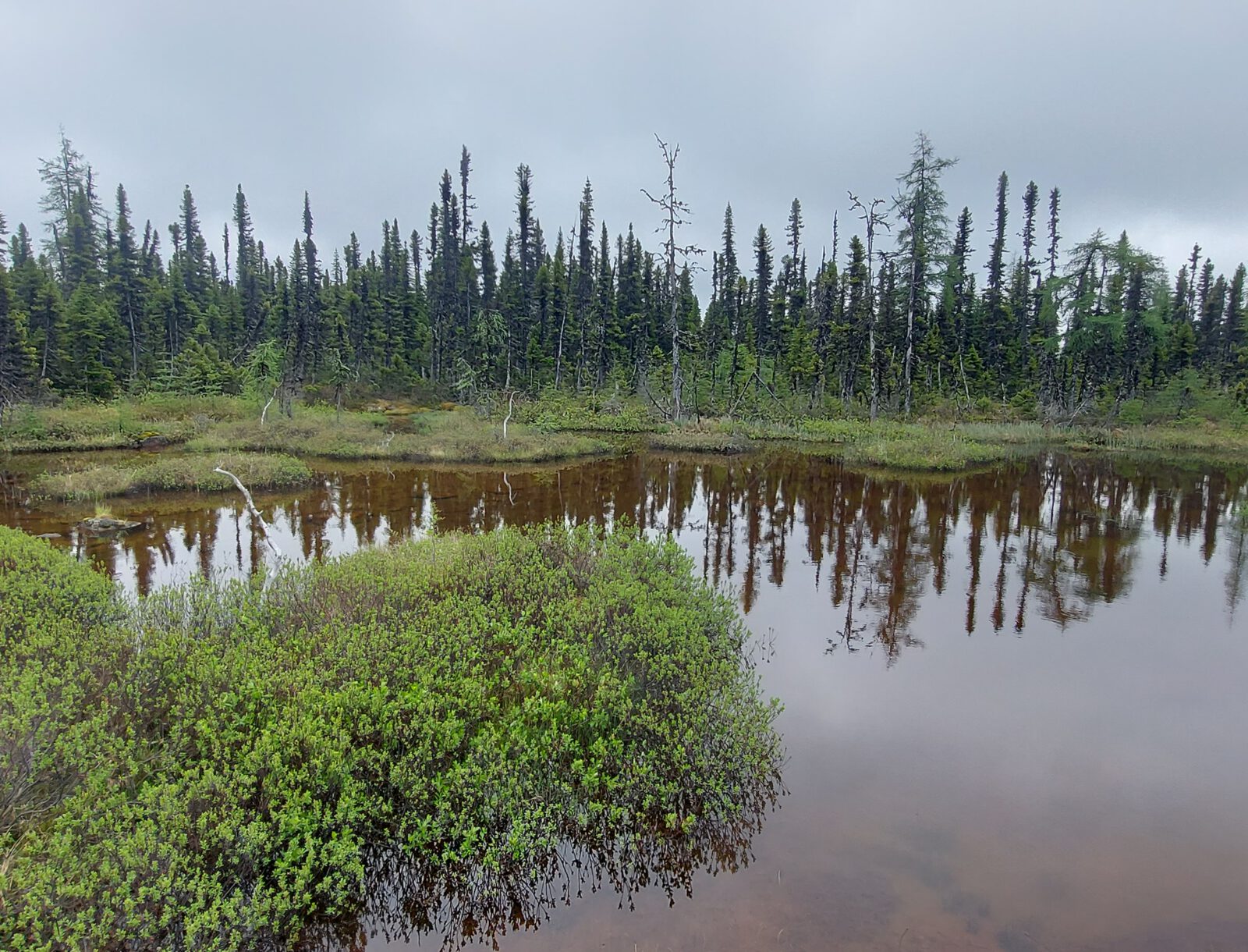 Labrador Coastal Drive (16)