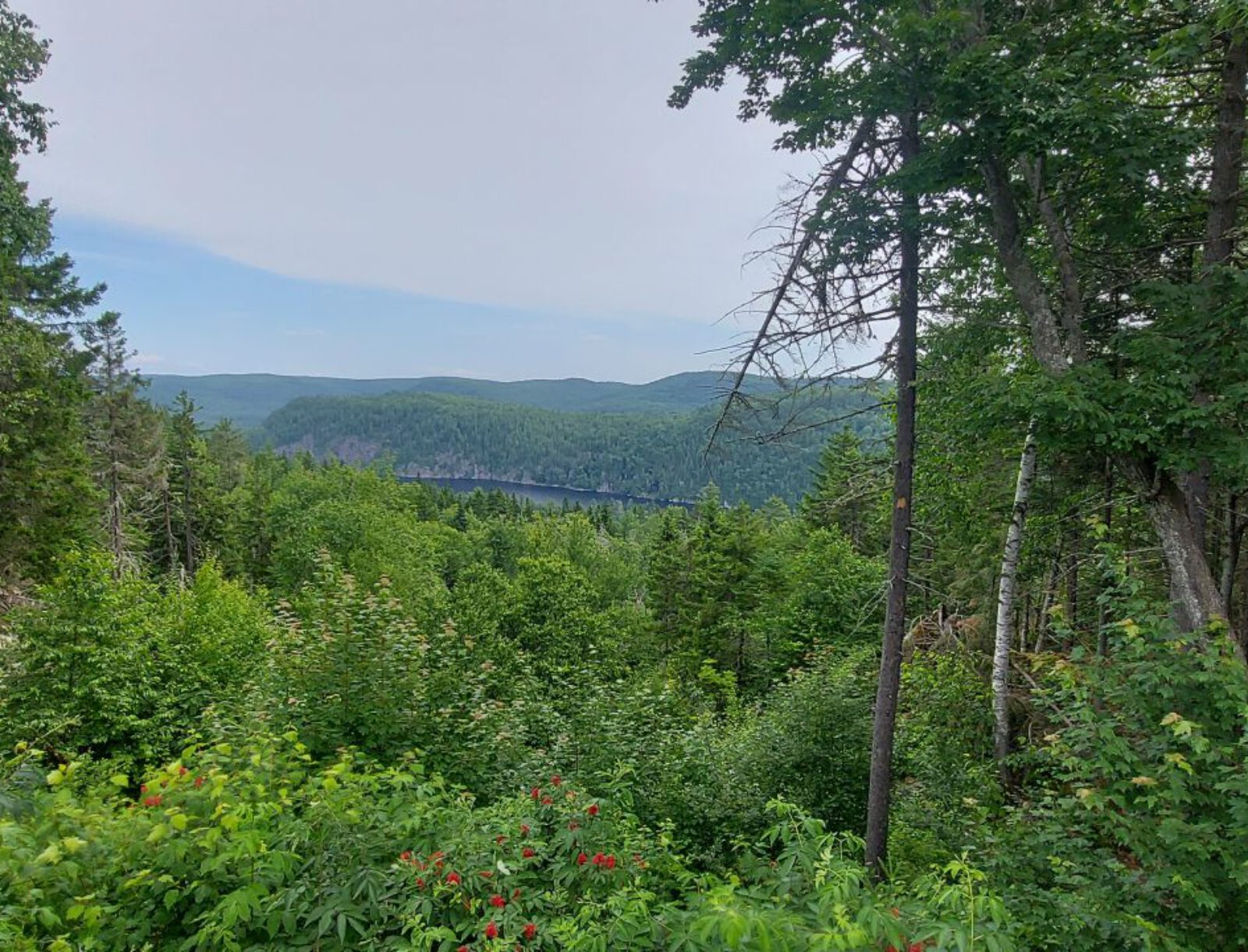 La Mauricie (11)