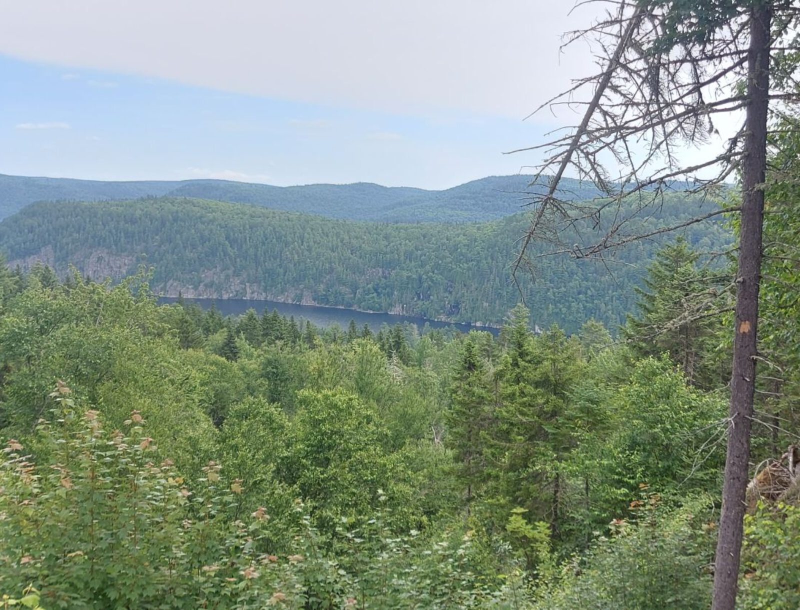 La Mauricie (12)