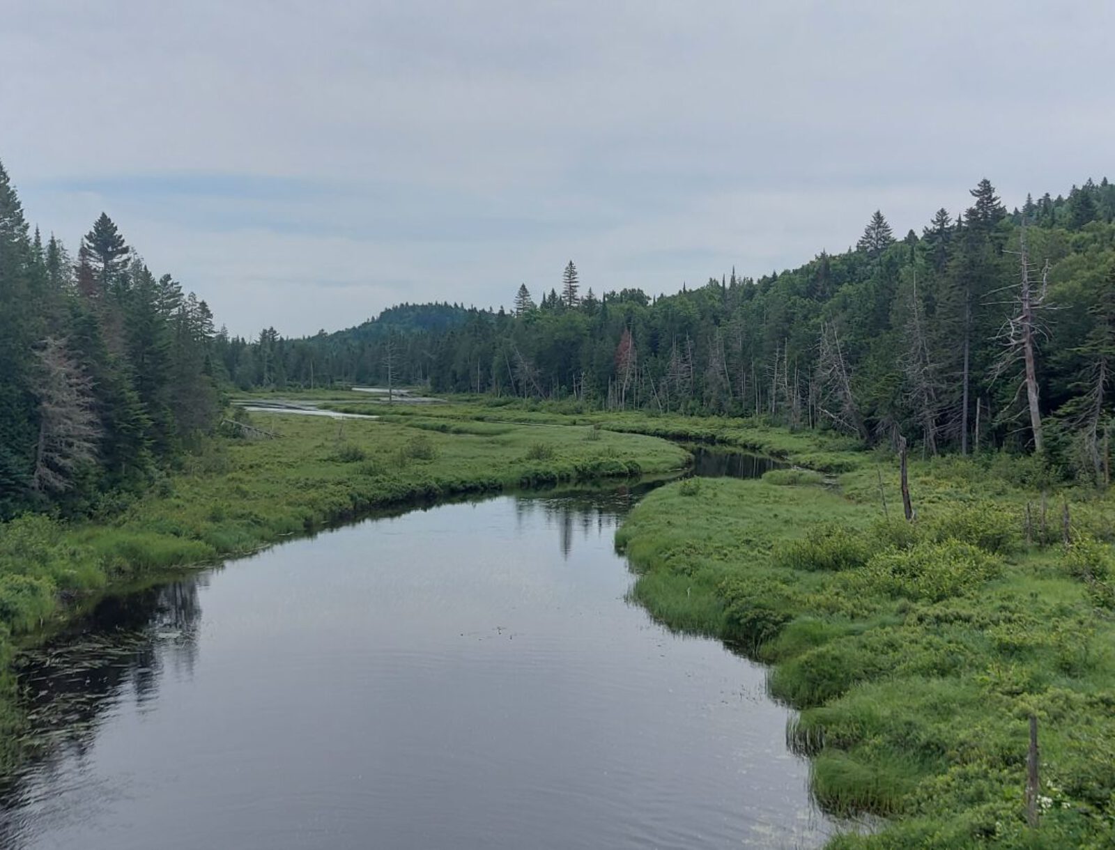 La Mauricie (16)