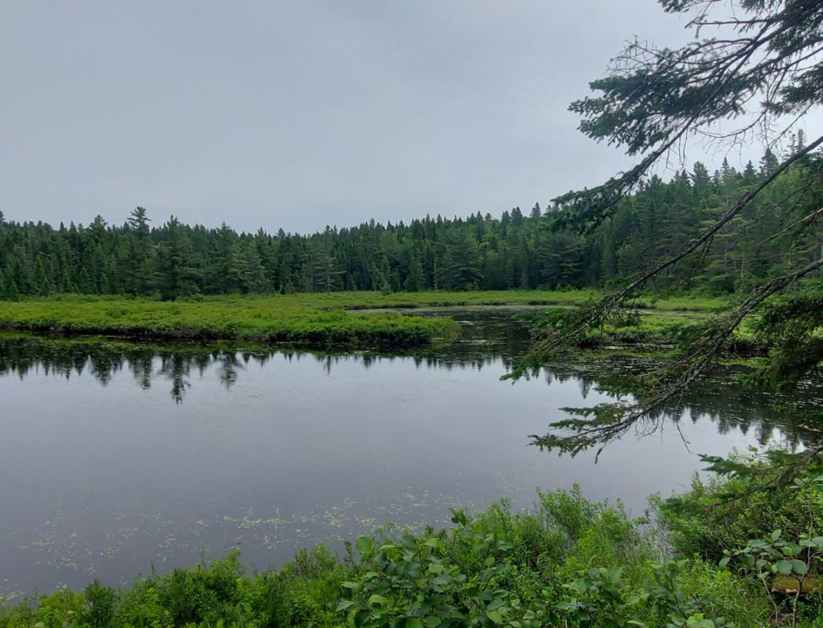 La Mauricie (17)