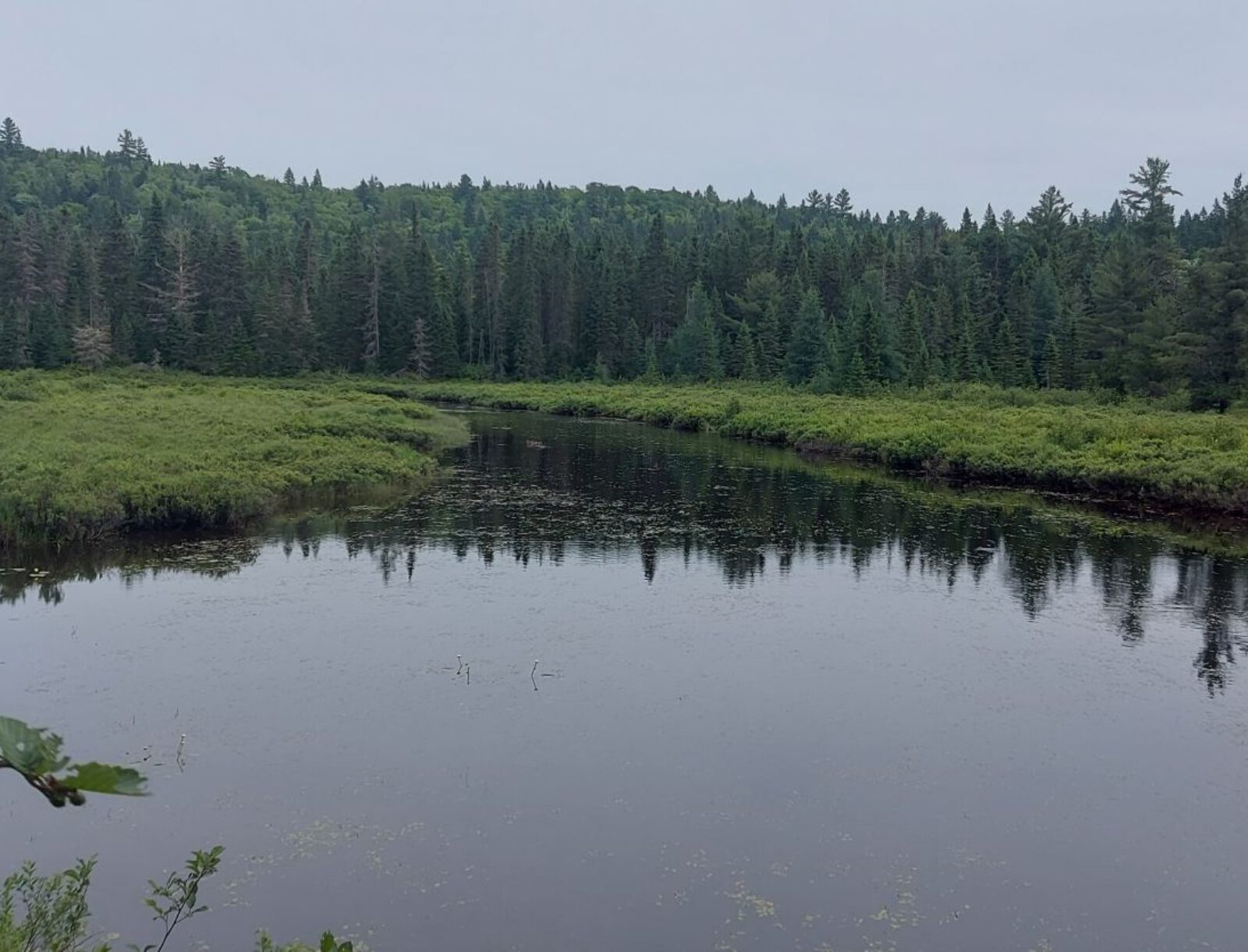 La Mauricie (18)