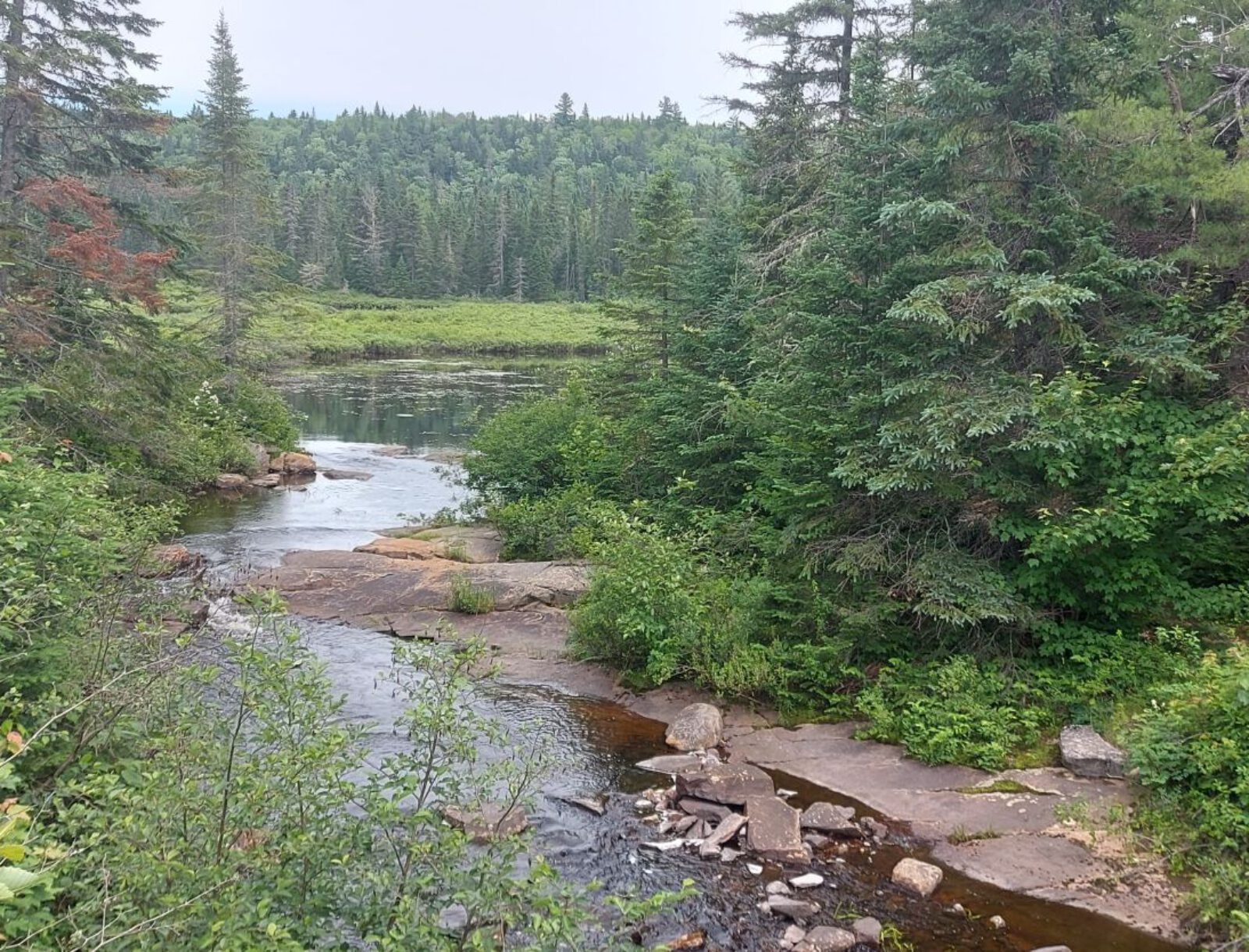 La Mauricie (19)
