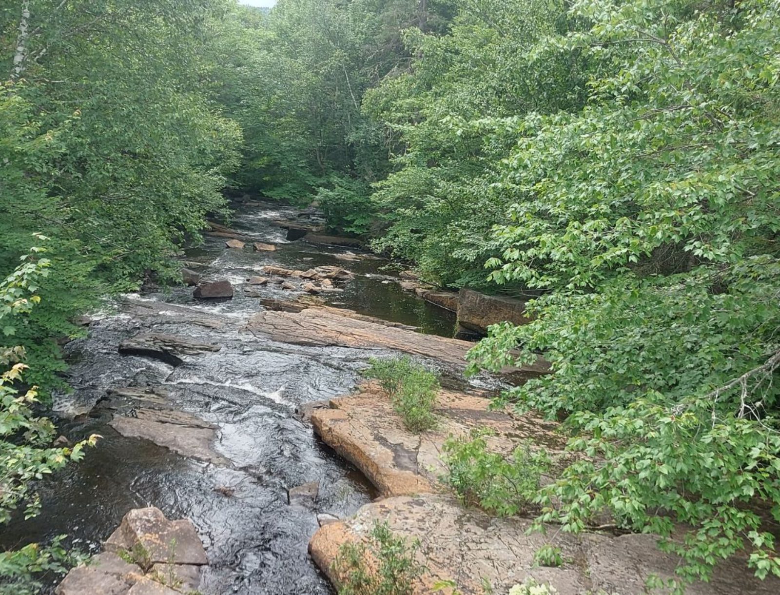 La Mauricie (20)