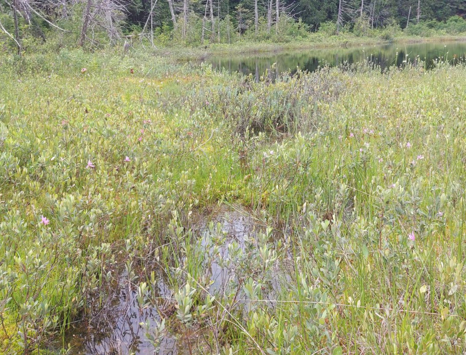 La Mauricie (21)