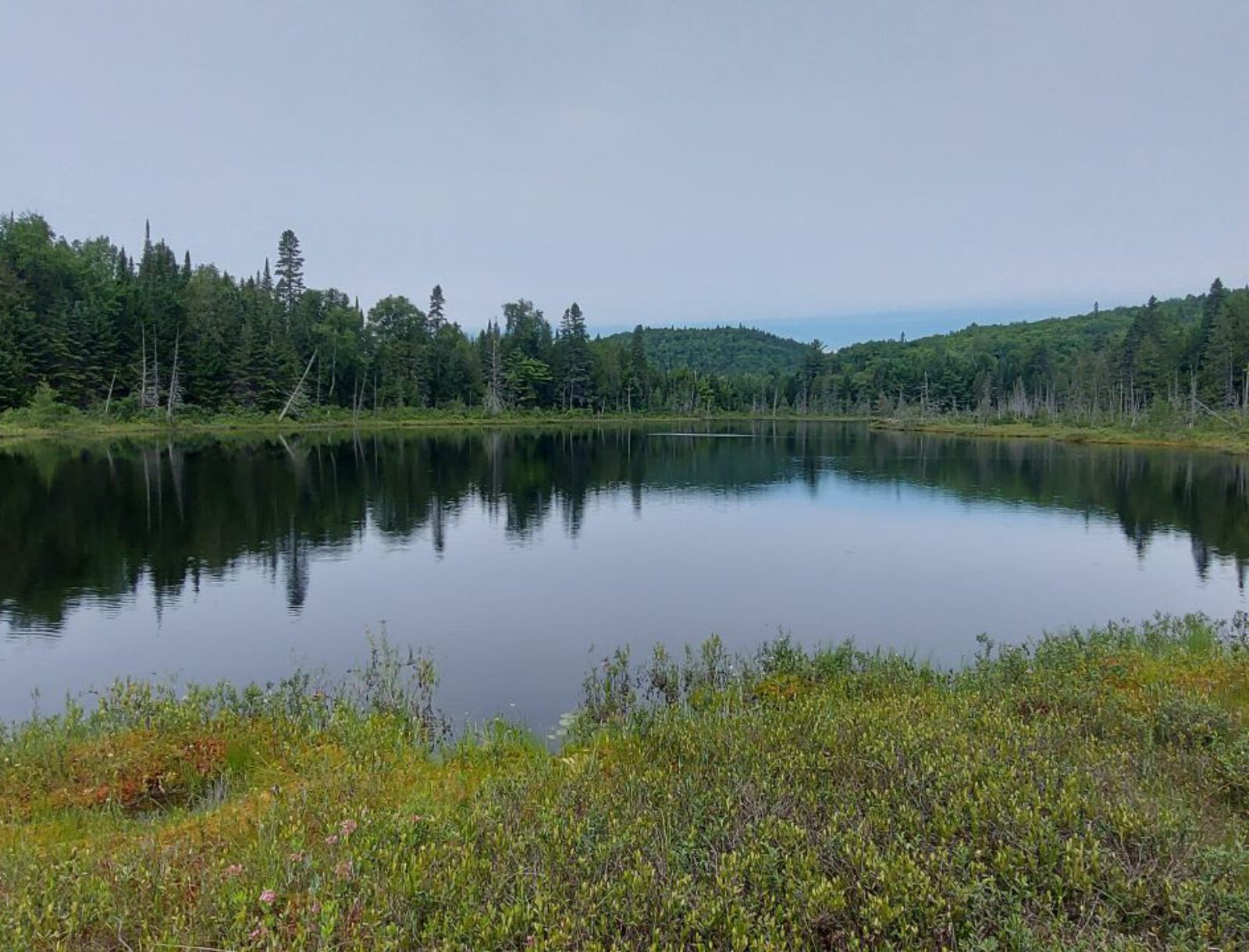 La Mauricie (22)
