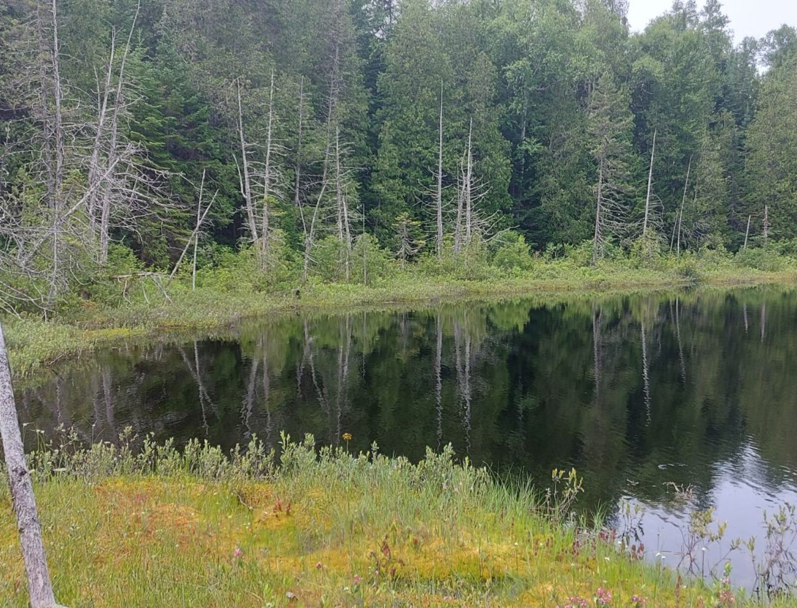 La Mauricie (23)