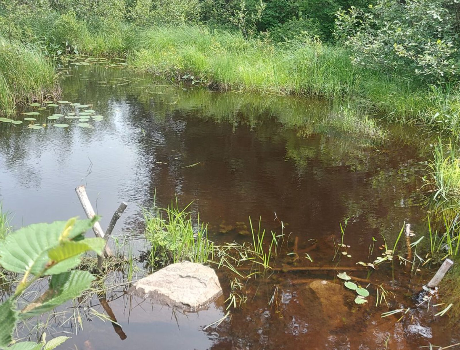 La Mauricie (24)