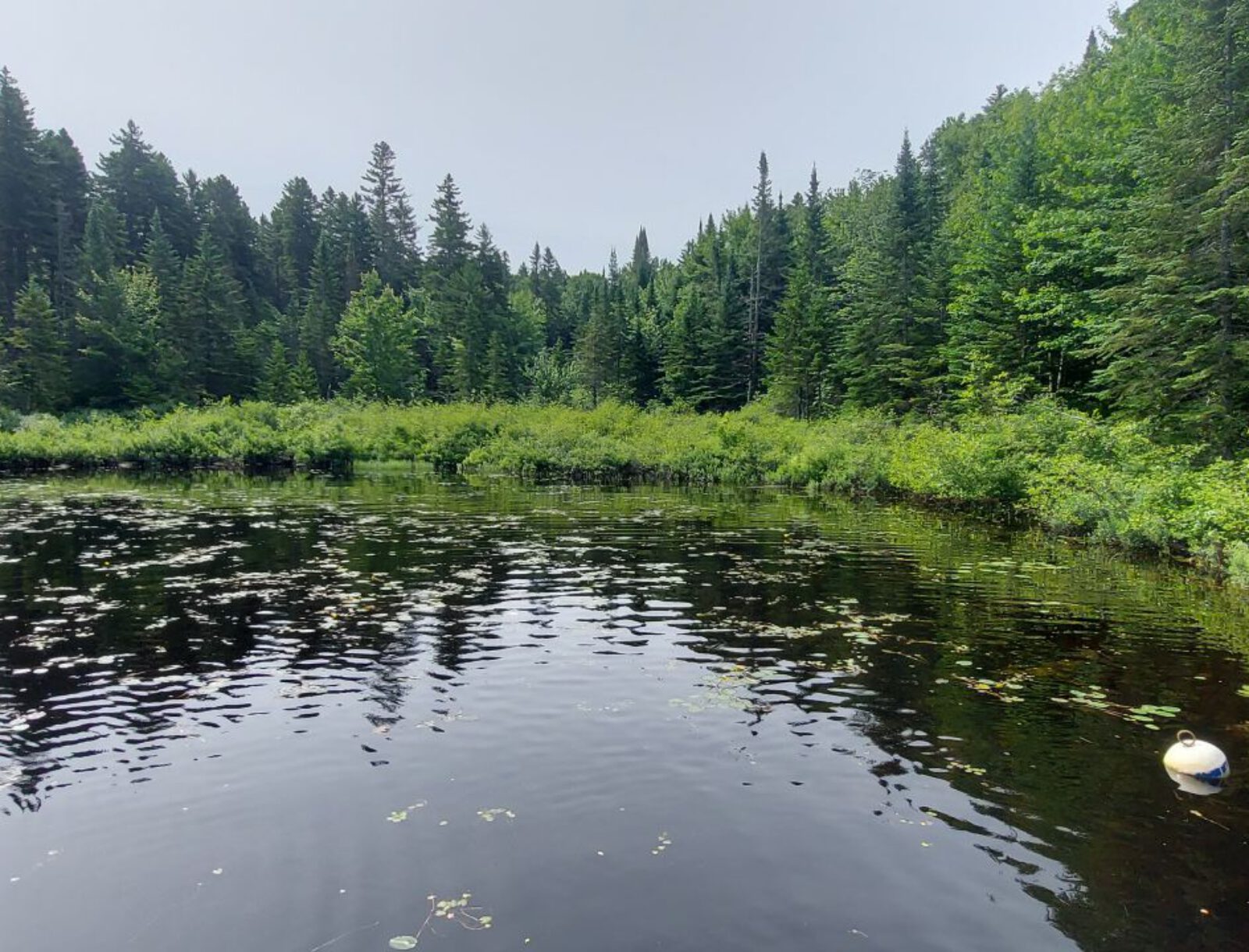 La Mauricie (5)