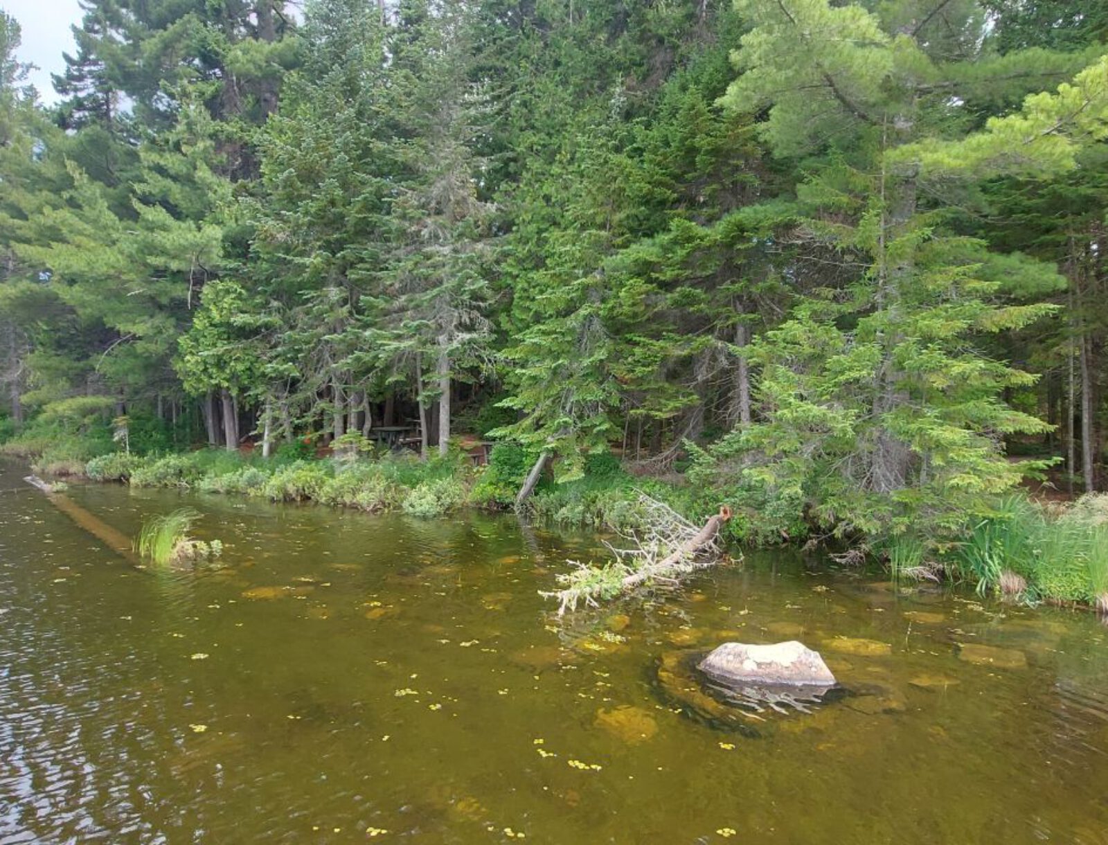 La Mauricie (6)