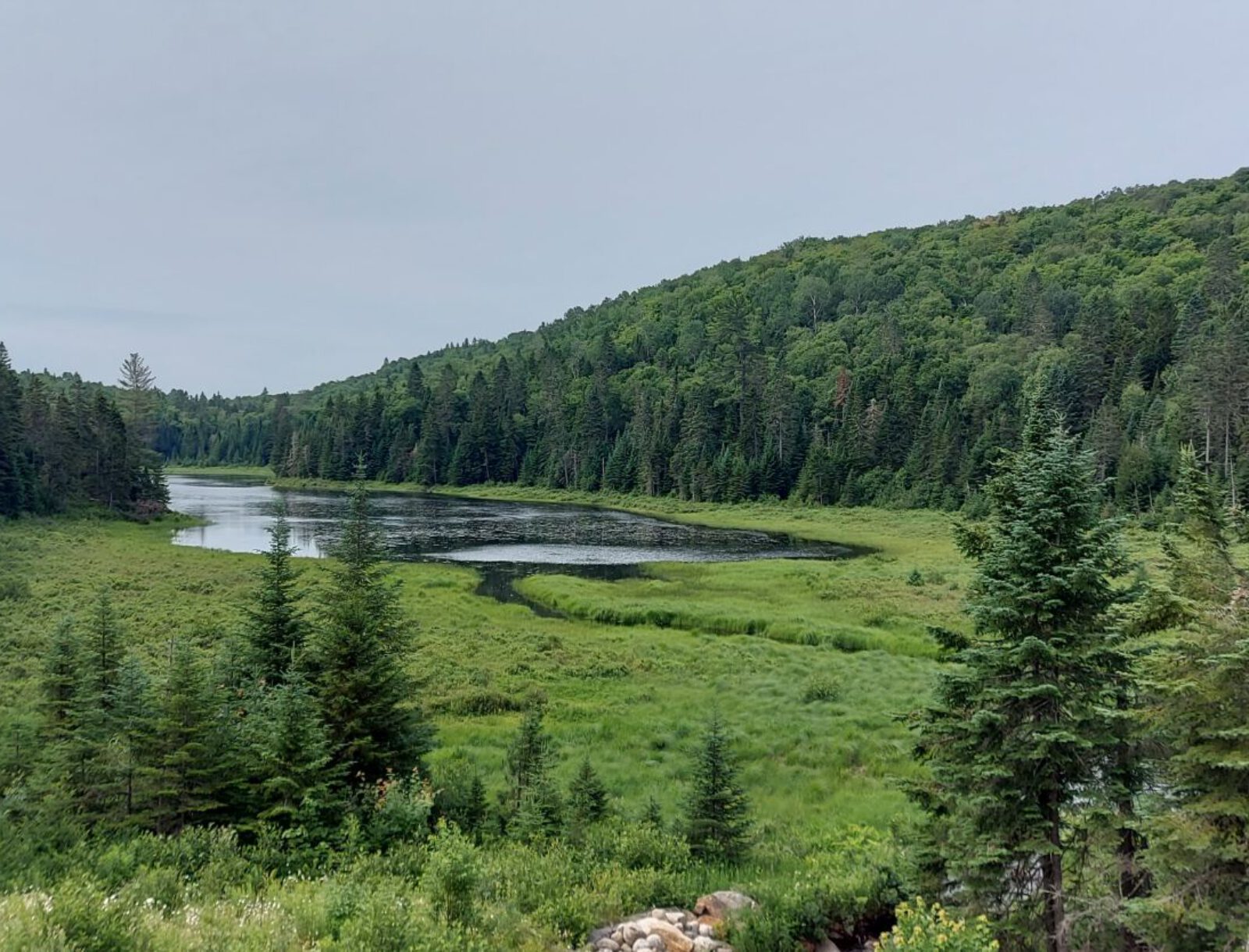 La Mauricie (8)