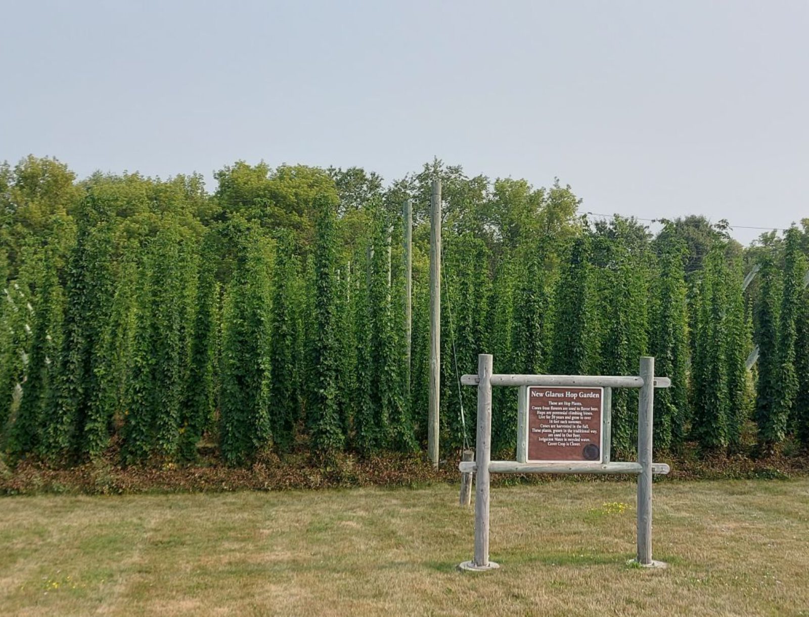 New Glarus (8)