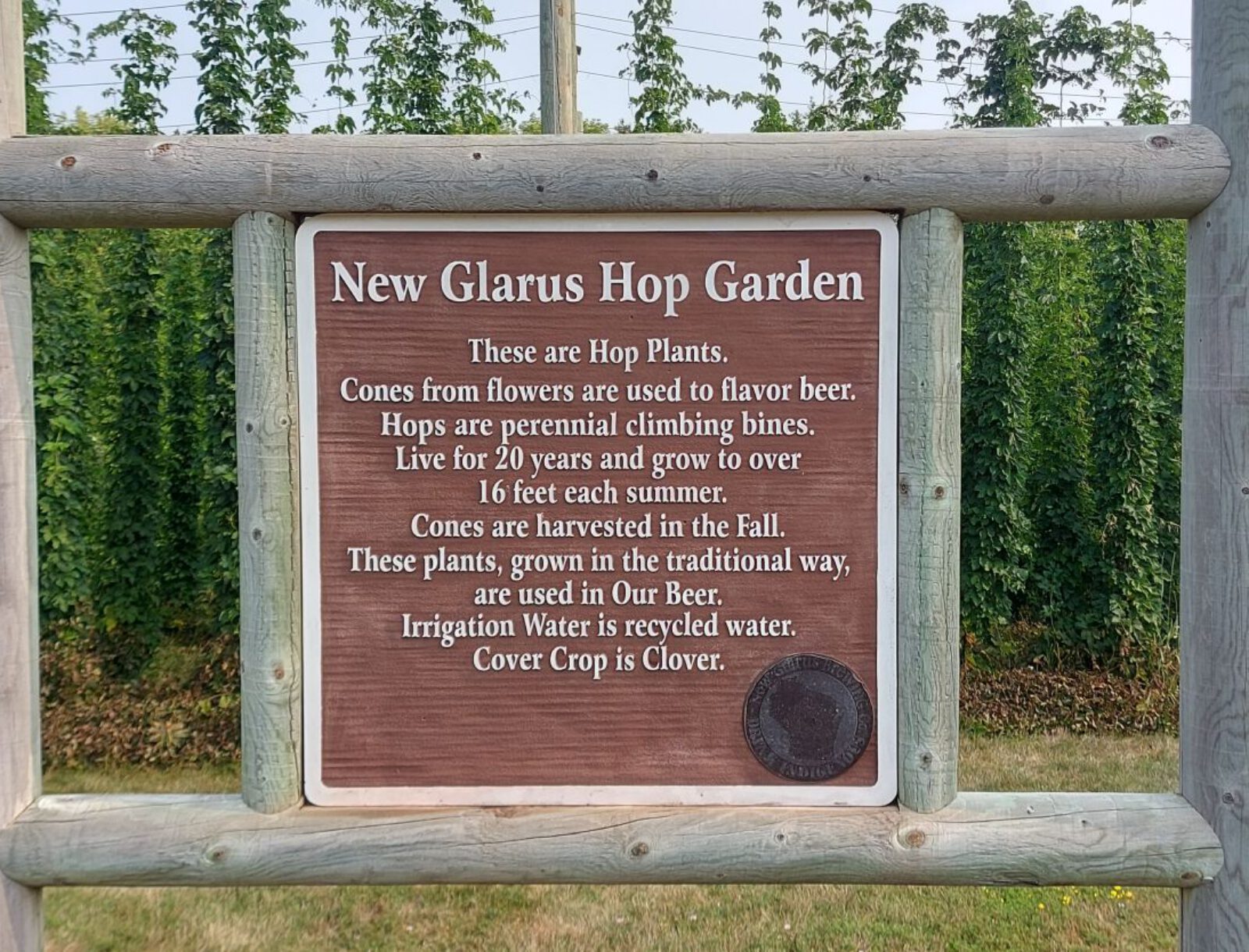 New Glarus (9)