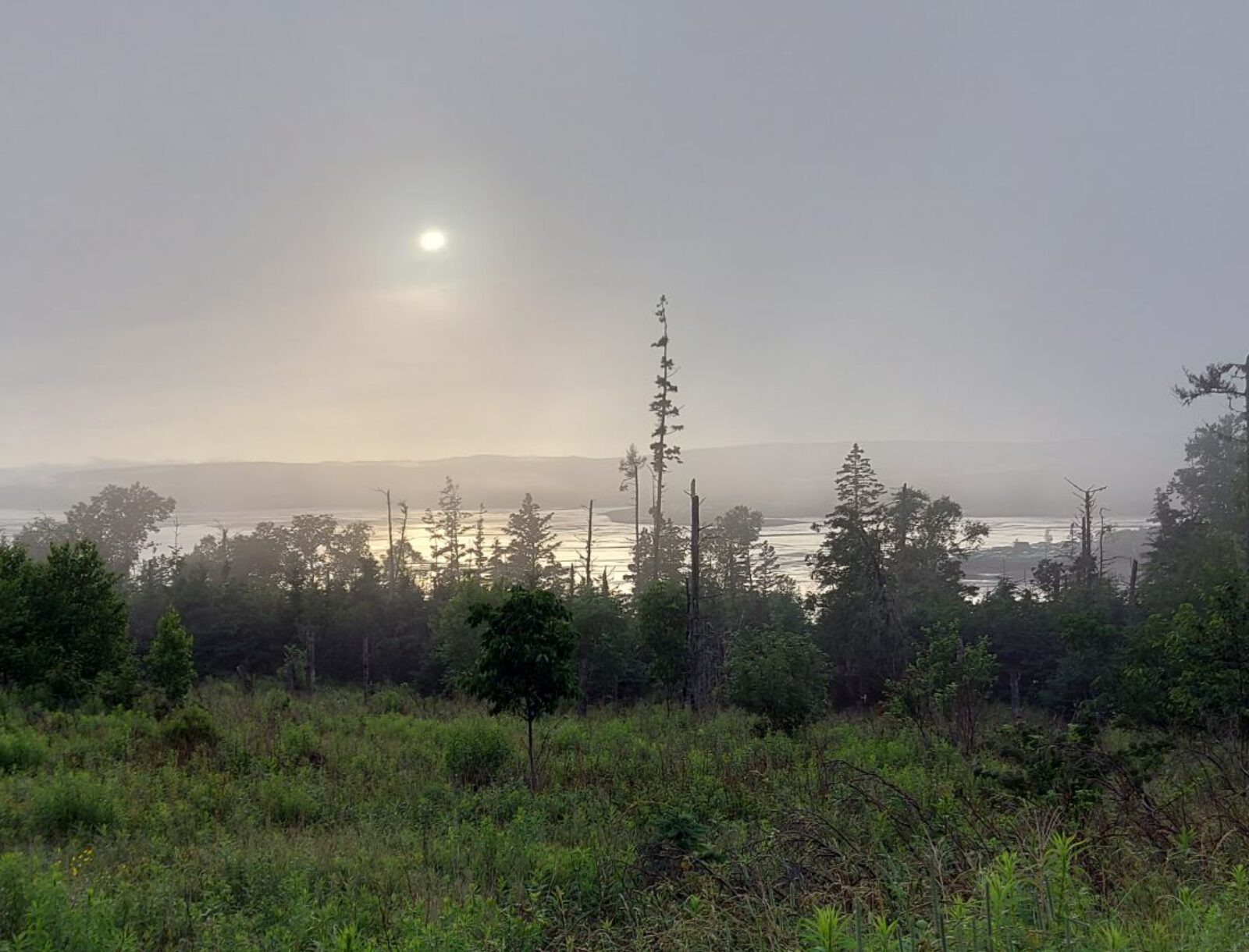 Nova Scotia (15)