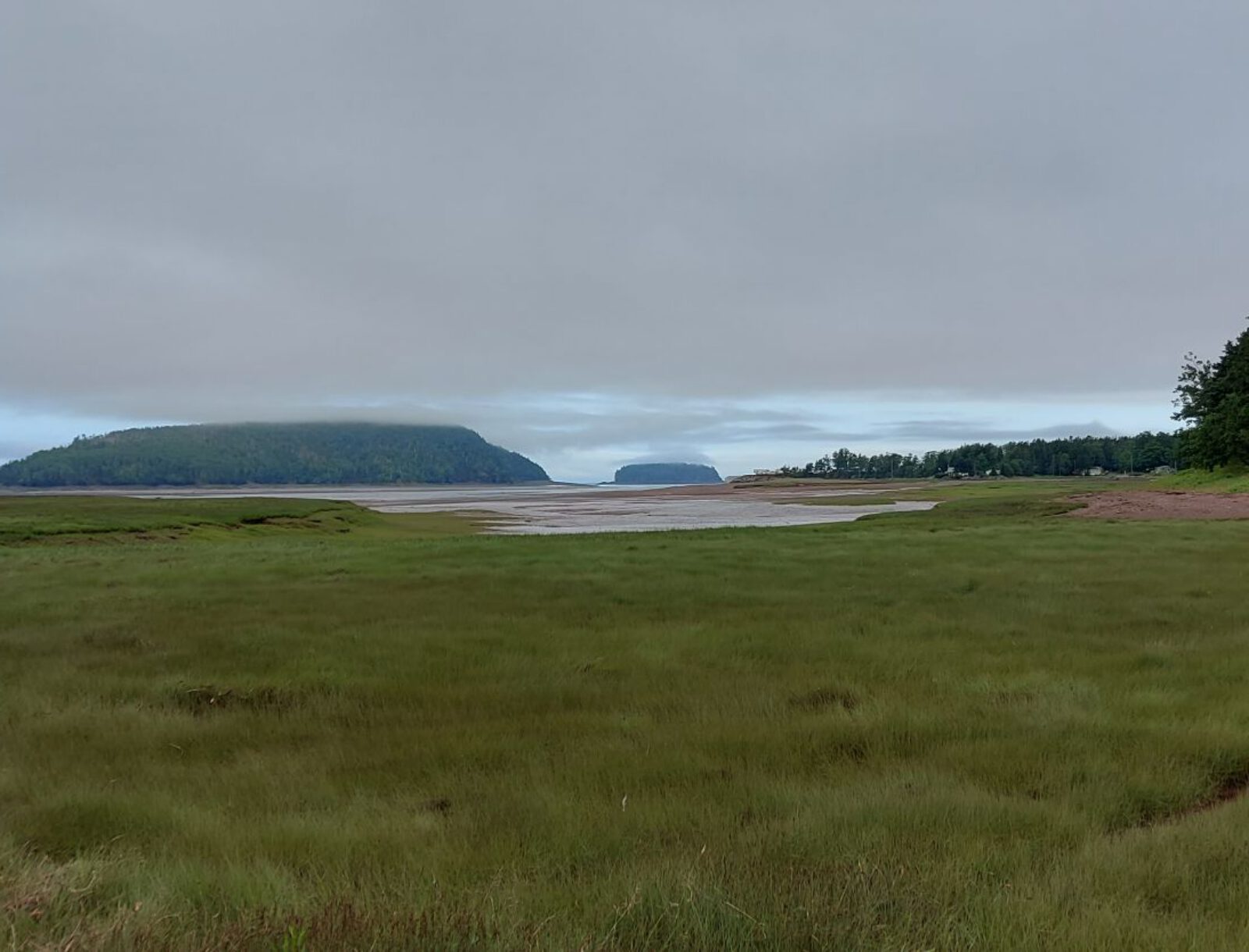 Nova Scotia (20)