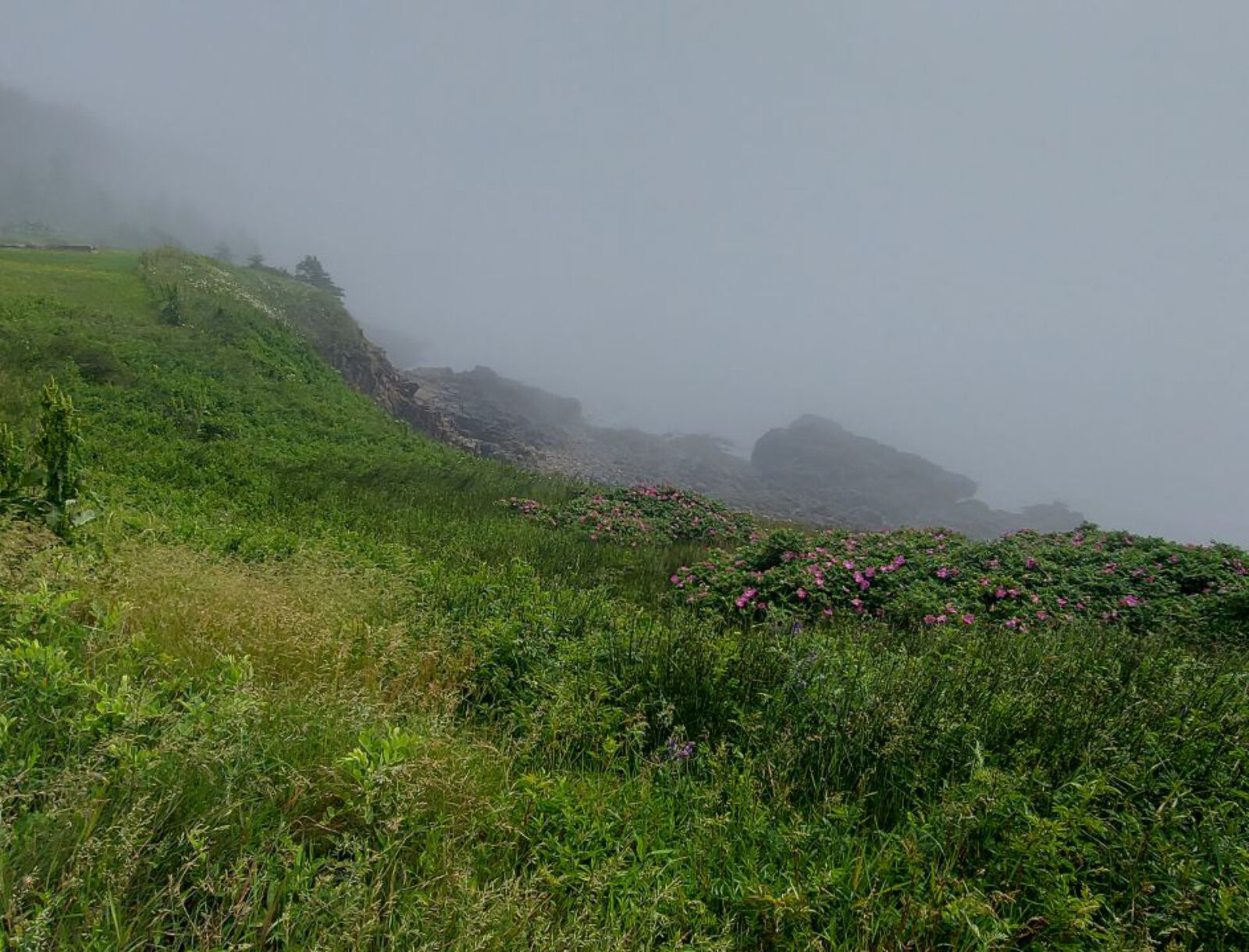 Nova Scotia (33)