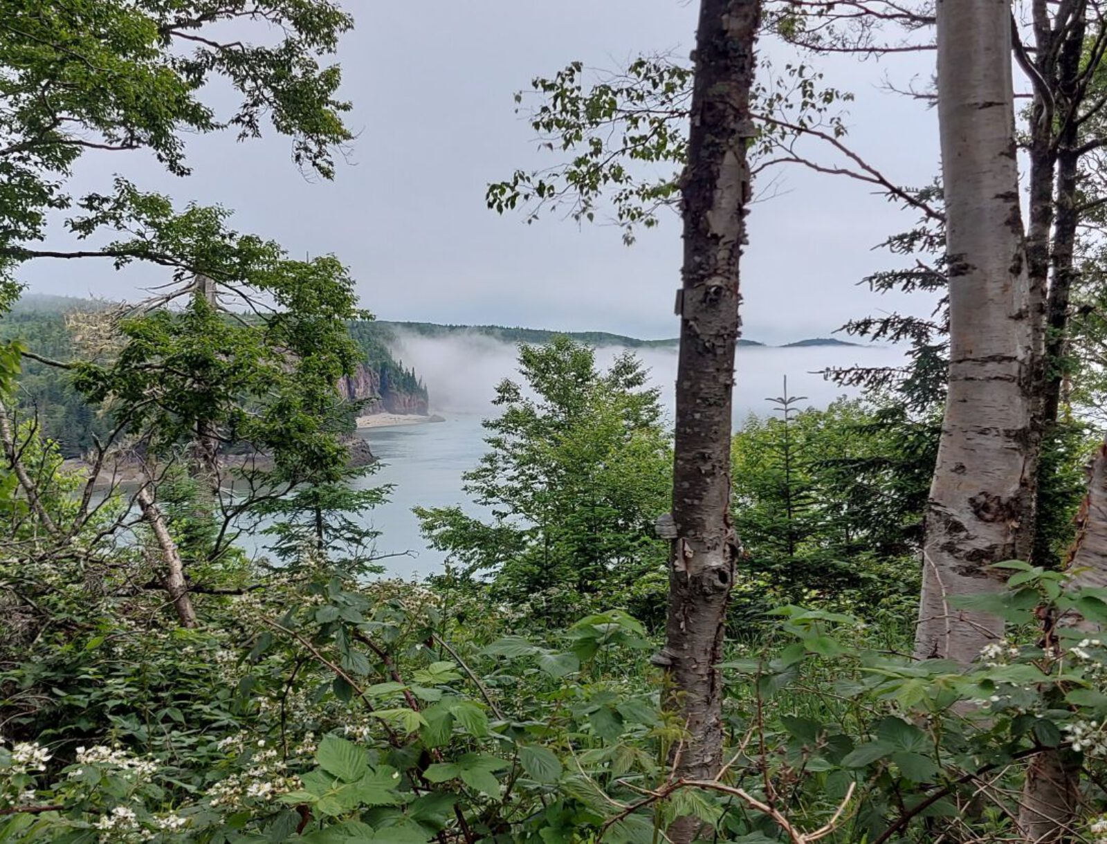 Nova Scotia (34)