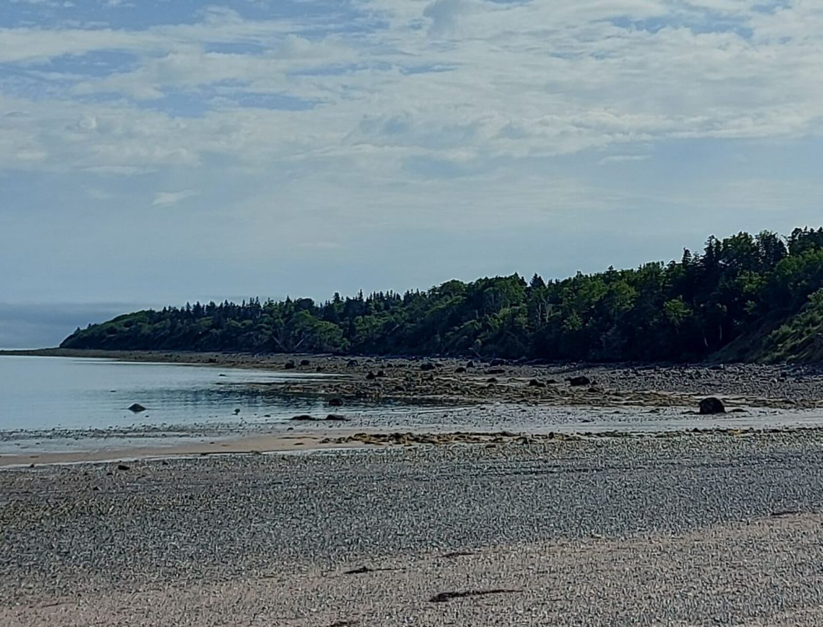 Nova Scotia (7)