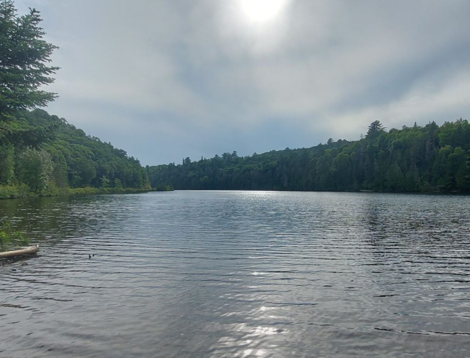 Ontario (44)
