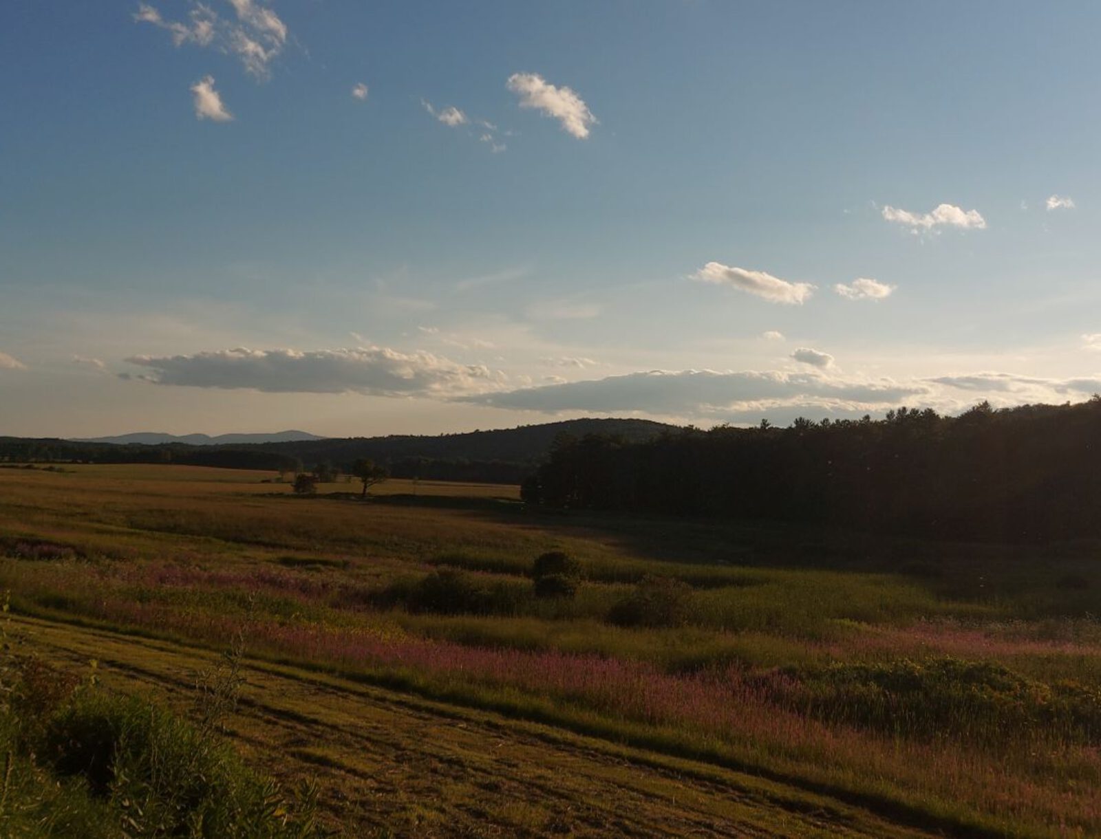 Vermont Scenic Byway 100 (3)