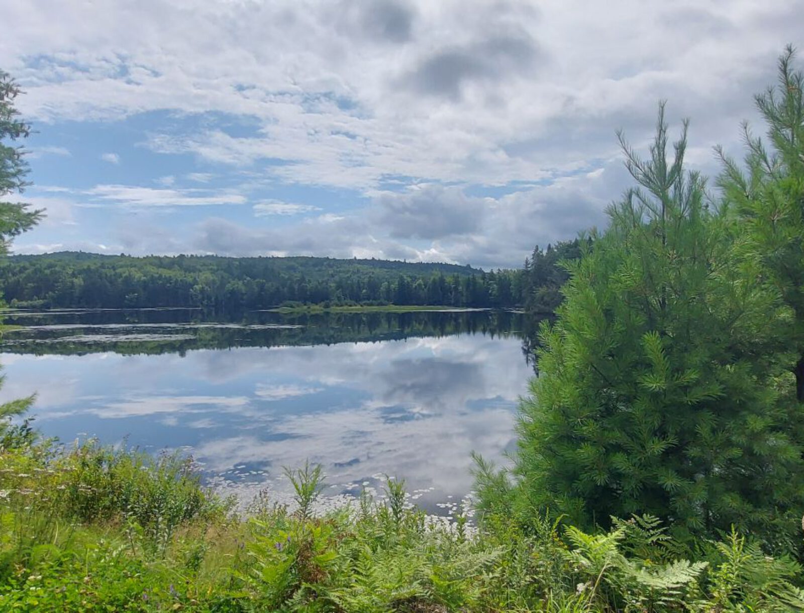Vermont Scenic Byway 100 (30)